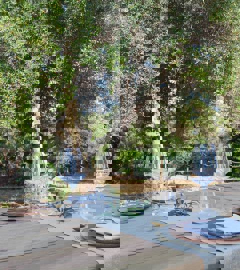 IMG 2090 Min