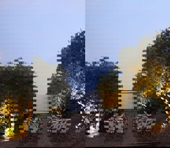 IMG 2220 Min